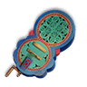Organistrum sound box.png