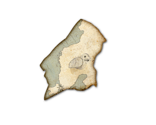 Delta fragment of the map.png