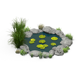 BigSmall pond.png