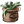 Jar of anchovies.png