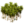 Plantationcannelle.png
