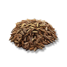 Cumin.png