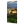 Pleasure Garden Background.png