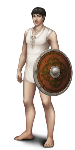 Viking shield by MinahM.png