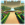 Renaissance Gardens Background.png