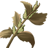 GdCIngredient12.png