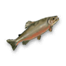 Arctic char.png