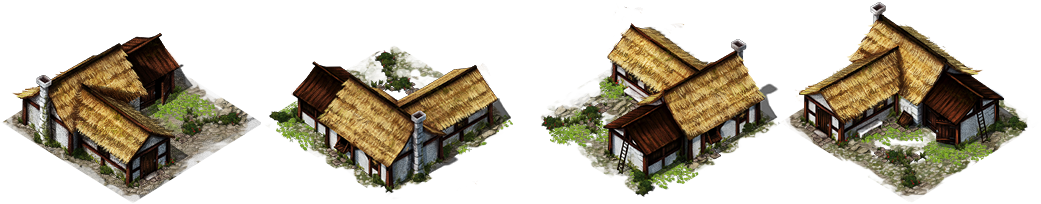 House with ladder.png