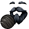 Teinturepileuse.gif