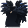 Northern Guardian cloak.png