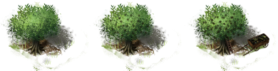 OliveOrchard.png