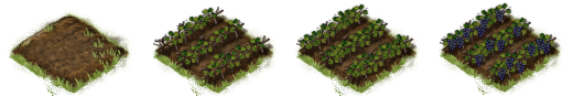 Vineyard.png