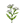 Bouquetyarrow.png