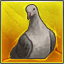Pigeon.png