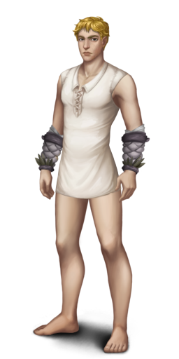 ManchettesHerboriste 1h.png