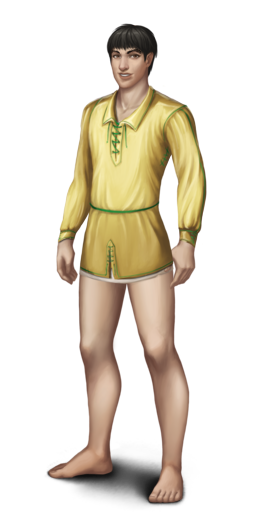 Nordic silk shirtM.png