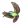 HummingbirdMulti.png
