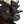 Black ram.png