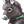 Belled mouse-grey baby donkey.png
