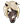 RarePony.png
