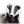 Badger.png