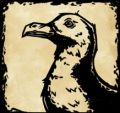 Armada seagull.jpeg