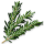 StillGuildIngredient03.png