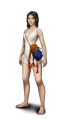 Thumbnail for version as of 21:08, 7 February 2025