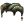 Jester's horned cap.png