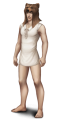 Thumbnail for version as of 11:14, 8 February 2025