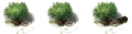 Thumbnail for version as of 21:07, 24 January 2024