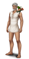 Thumbnail for version as of 19:19, 22 January 2025