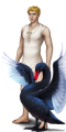 Thumbnail for version as of 20:02, 19 February 2025
