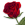 StillGuildIngredient05.png